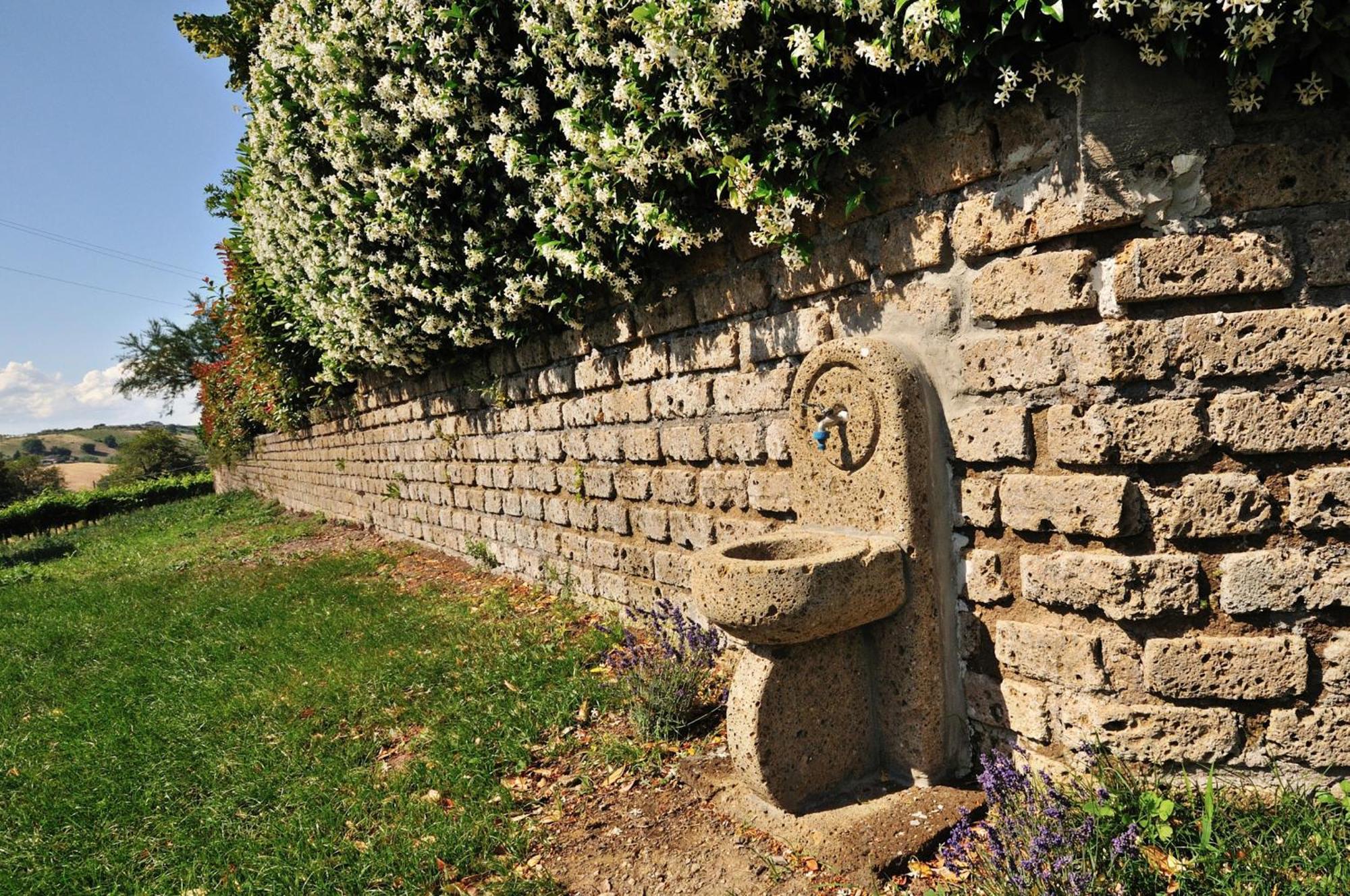 Agriturismo Casale Contessa Montebuono  Εξωτερικό φωτογραφία