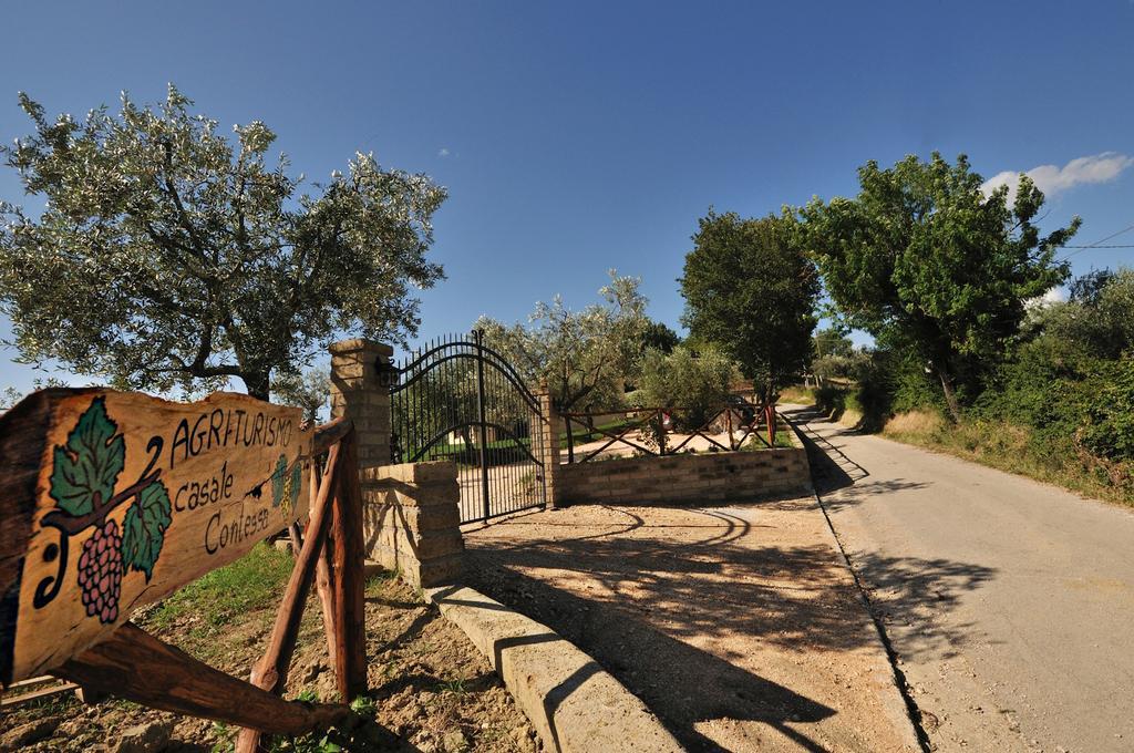 Agriturismo Casale Contessa Montebuono  Εξωτερικό φωτογραφία