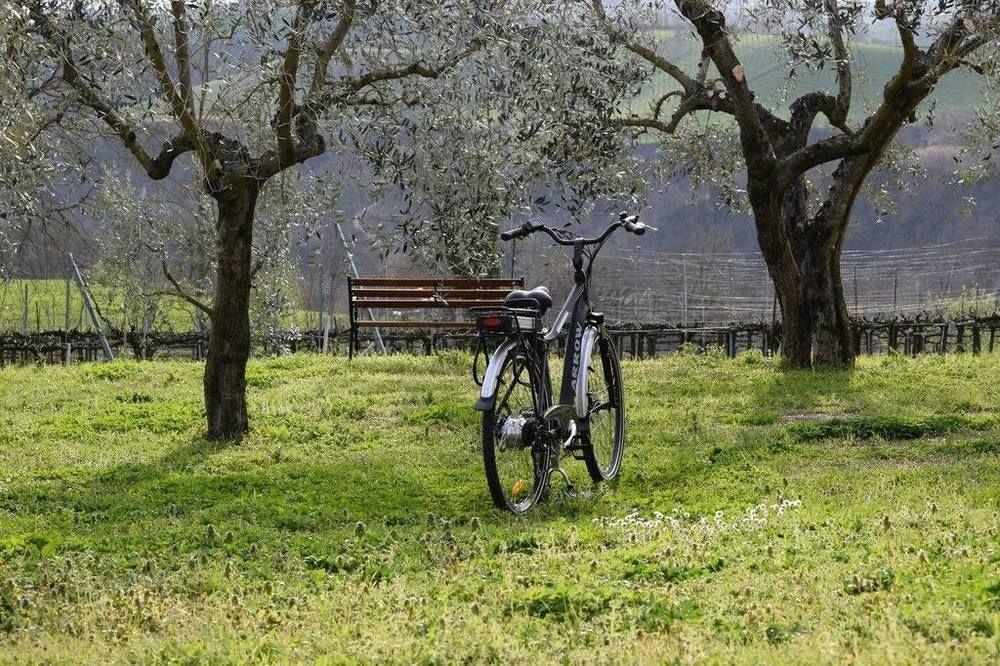 Agriturismo Casale Contessa Montebuono  Εξωτερικό φωτογραφία